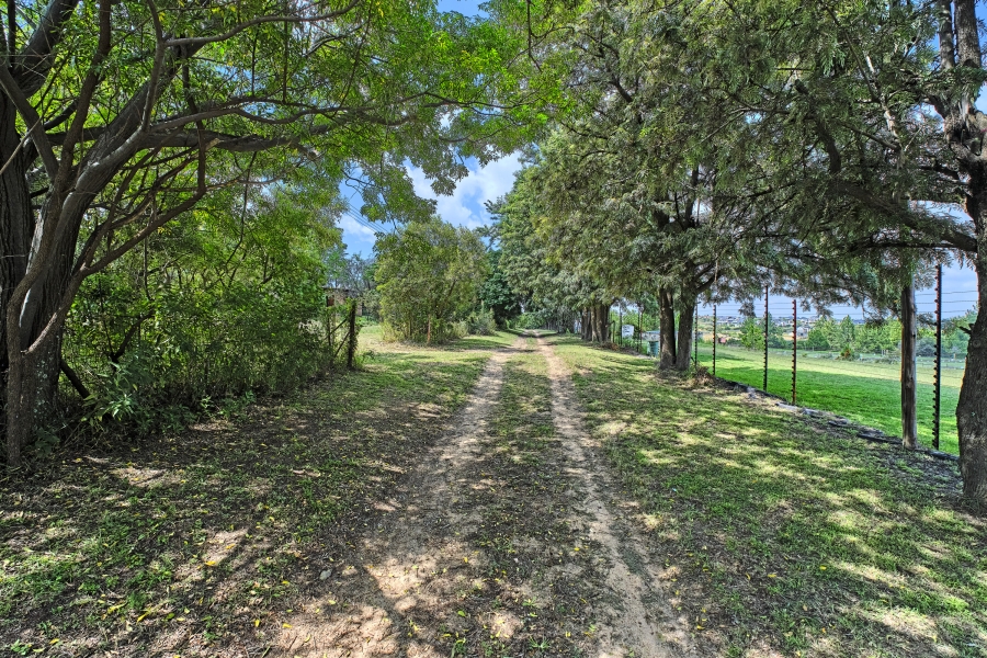 4 Bedroom Property for Sale in Sun Valley Gauteng