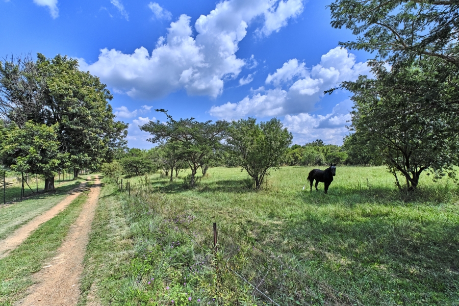 4 Bedroom Property for Sale in Sun Valley Gauteng