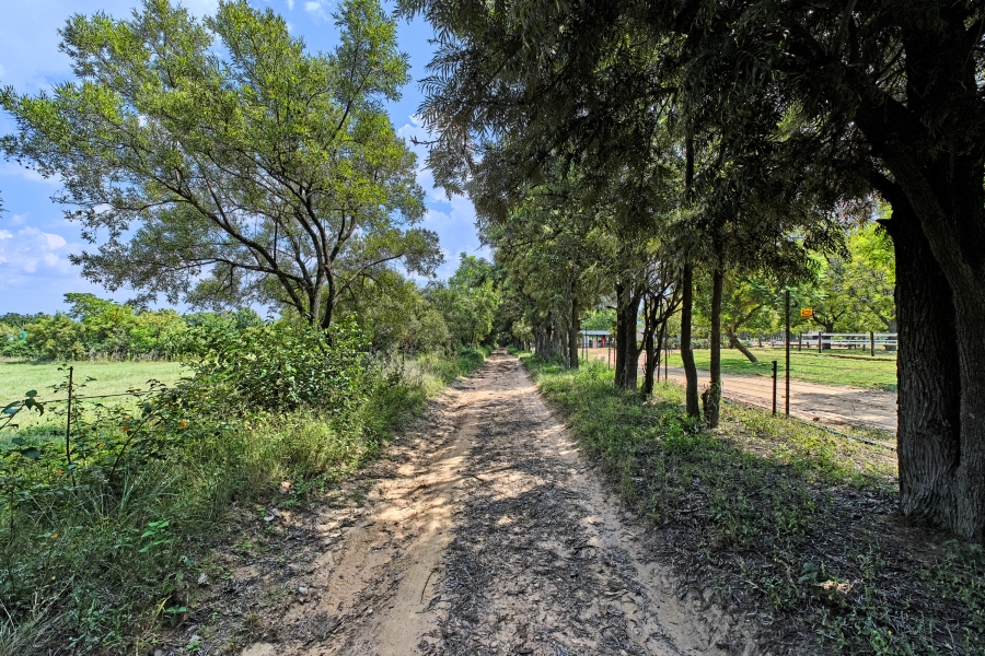 4 Bedroom Property for Sale in Sun Valley Gauteng