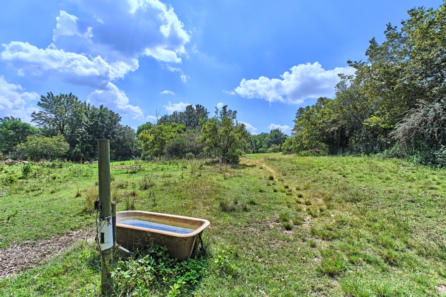 4 Bedroom Property for Sale in Sun Valley Gauteng