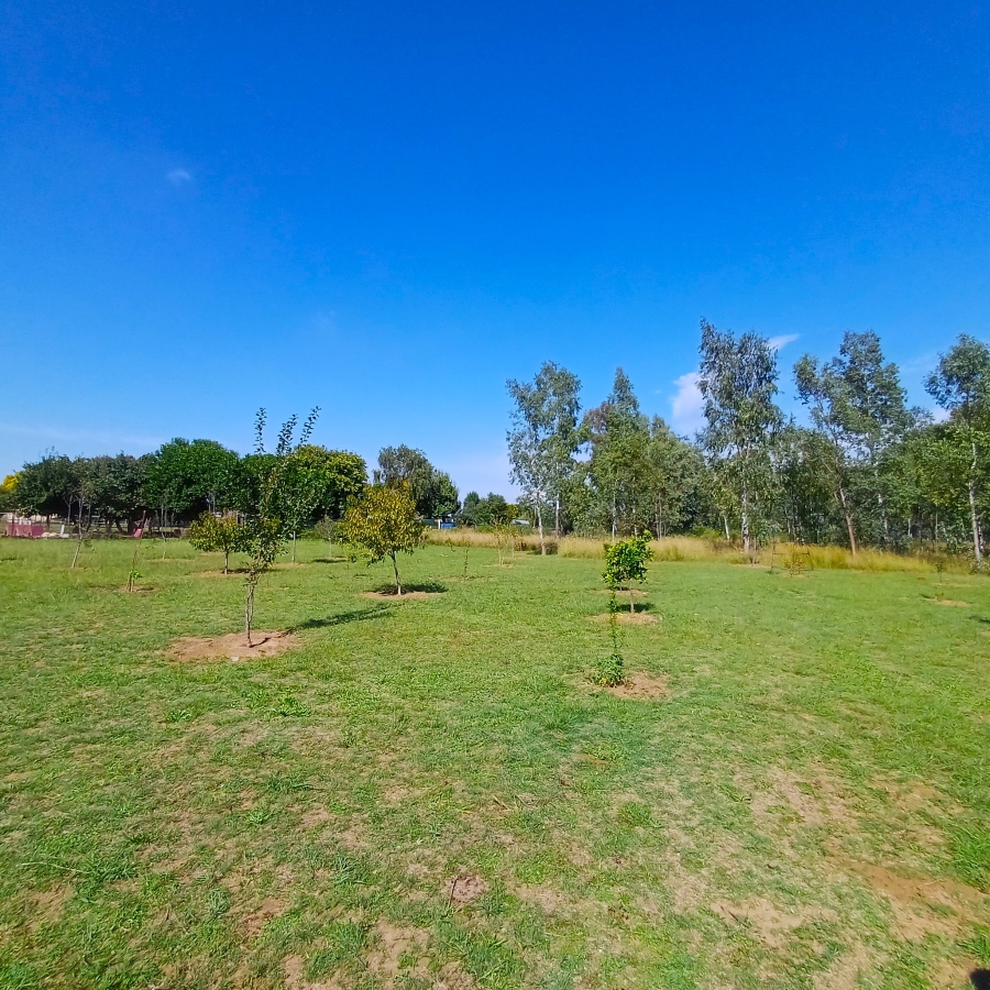 3 Bedroom Property for Sale in Nelsonia Gauteng