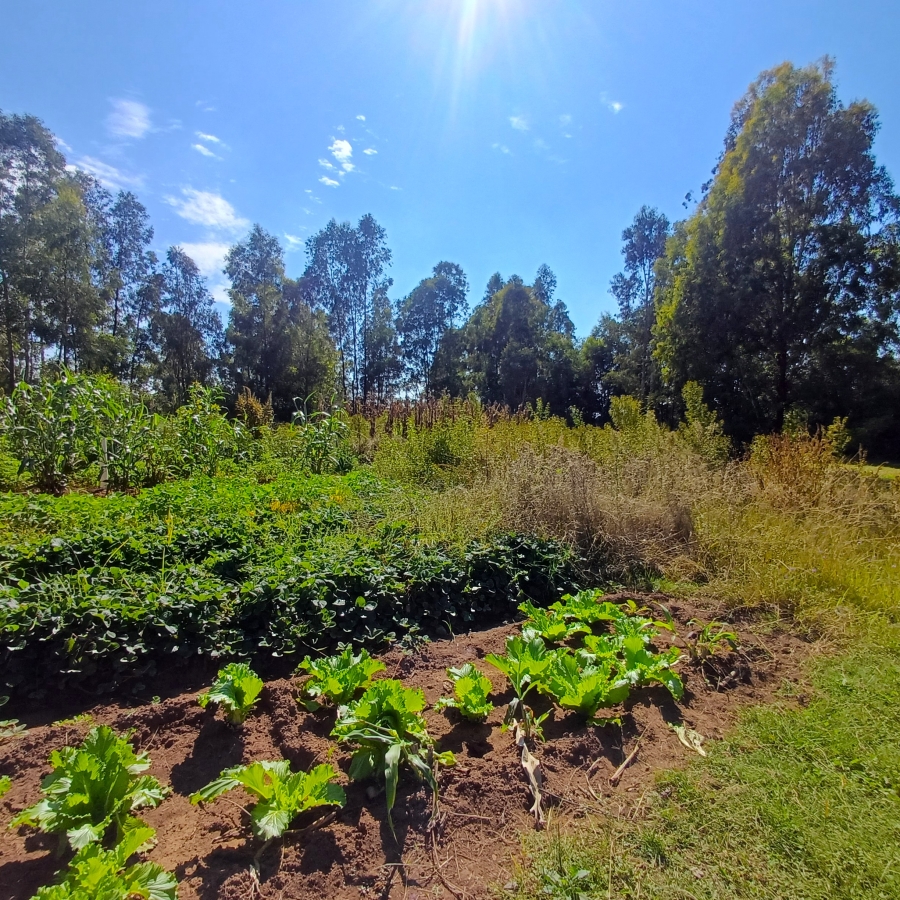 3 Bedroom Property for Sale in Nelsonia Gauteng