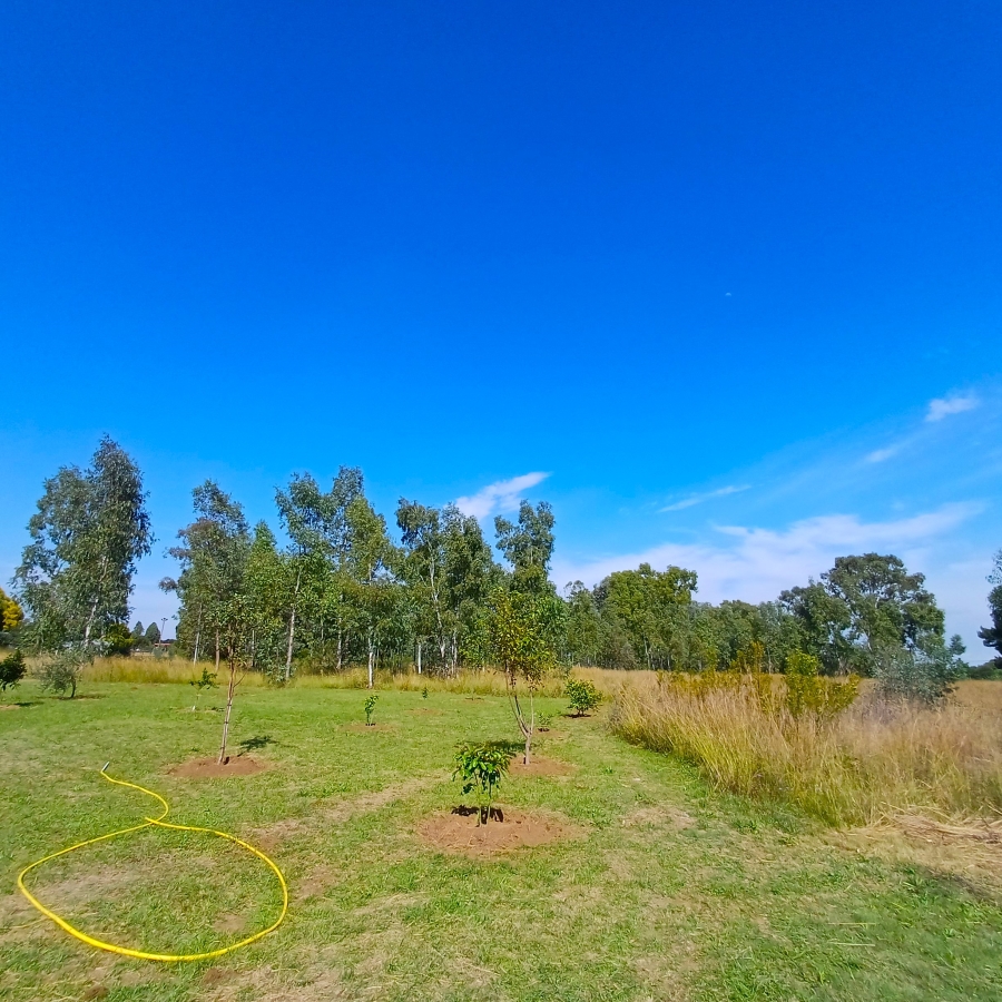 3 Bedroom Property for Sale in Nelsonia Gauteng