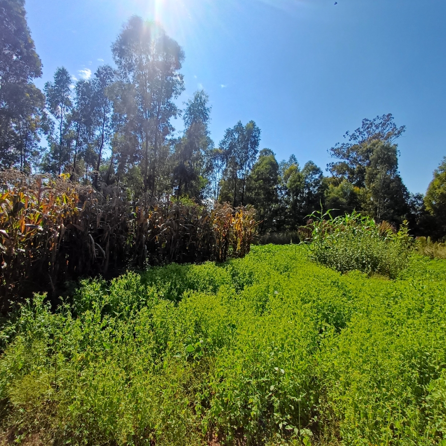 3 Bedroom Property for Sale in Nelsonia Gauteng