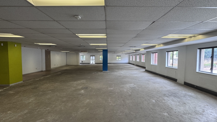 To Let Commercial Property for Rent in Illovo Gauteng