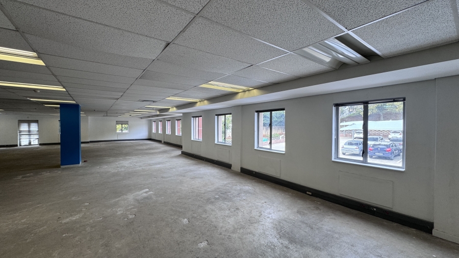 To Let Commercial Property for Rent in Illovo Gauteng