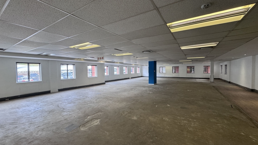 To Let Commercial Property for Rent in Illovo Gauteng