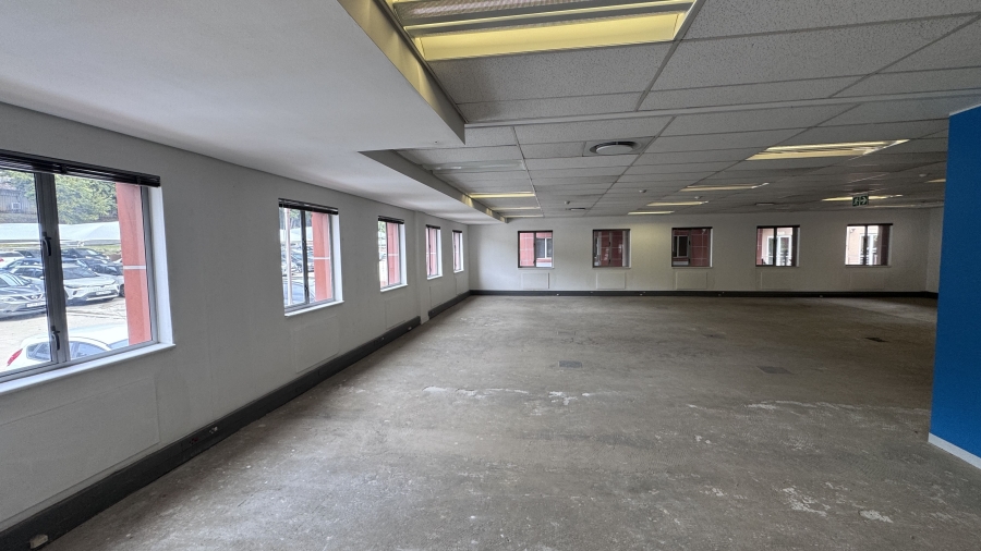To Let Commercial Property for Rent in Illovo Gauteng