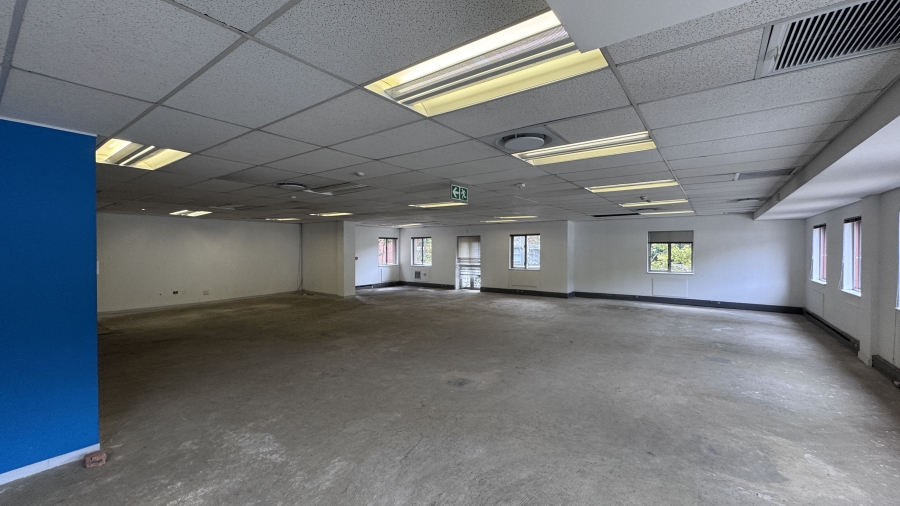 To Let Commercial Property for Rent in Illovo Gauteng