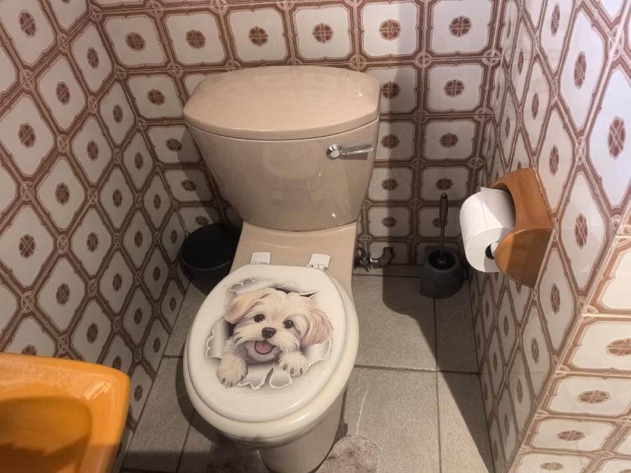 4 Bedroom Property for Sale in Roodepoort North Gauteng