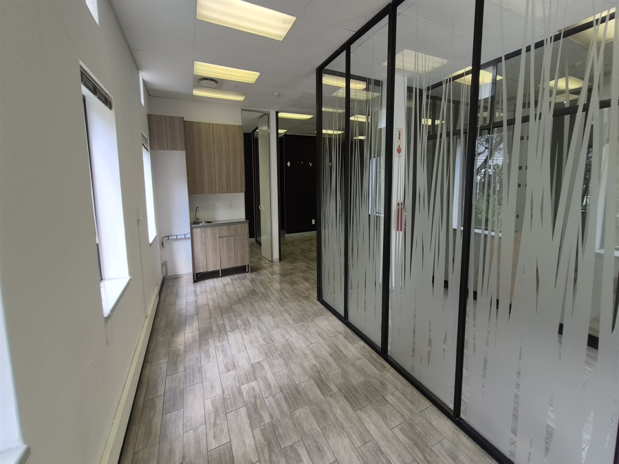 To Let Commercial Property for Rent in Illovo Gauteng
