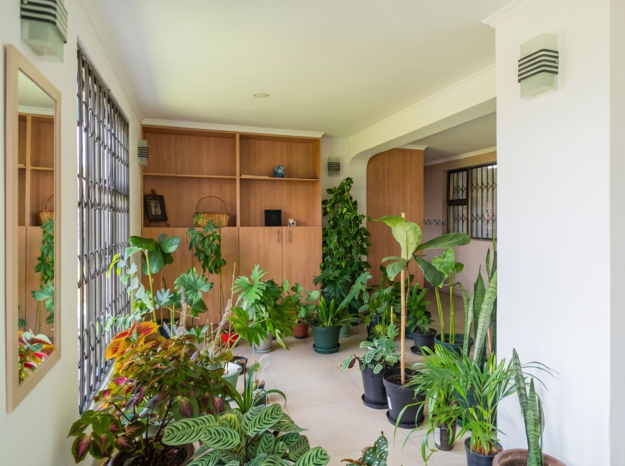 6 Bedroom Property for Sale in Winchester Hills Gauteng