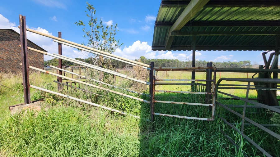 4 Bedroom Property for Sale in Klipkop Gauteng