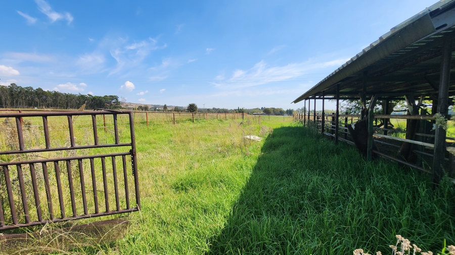 4 Bedroom Property for Sale in Klipkop Gauteng