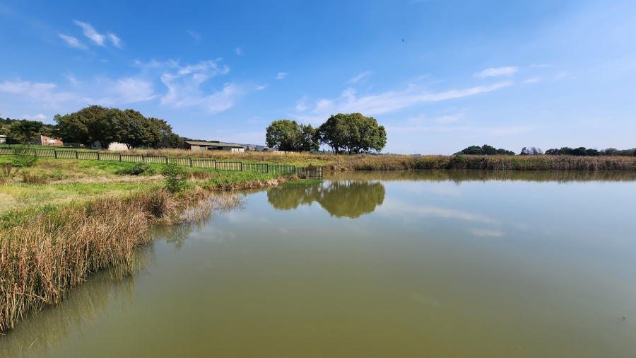 4 Bedroom Property for Sale in Klipkop Gauteng