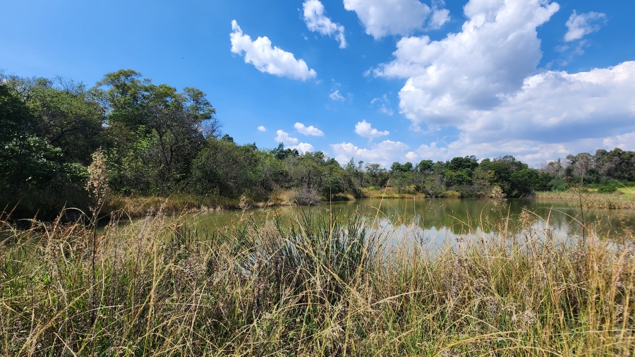 4 Bedroom Property for Sale in Klipkop Gauteng