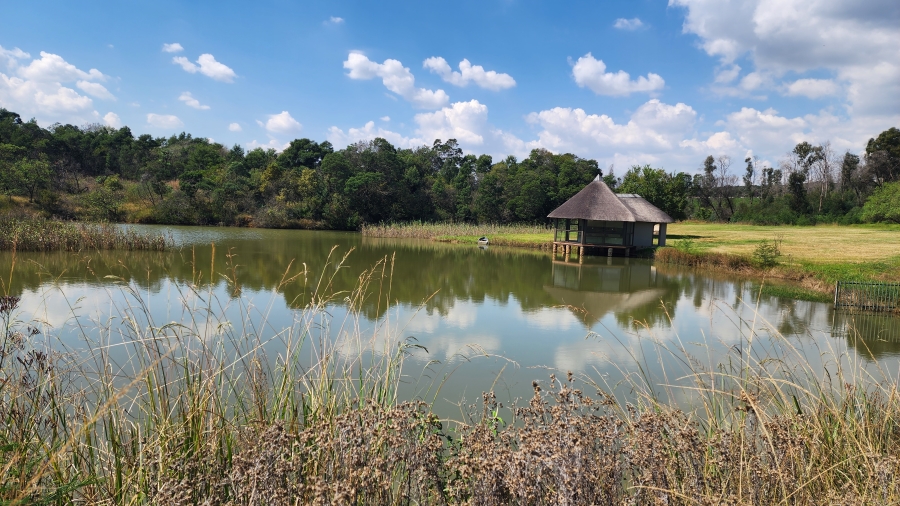 4 Bedroom Property for Sale in Klipkop Gauteng