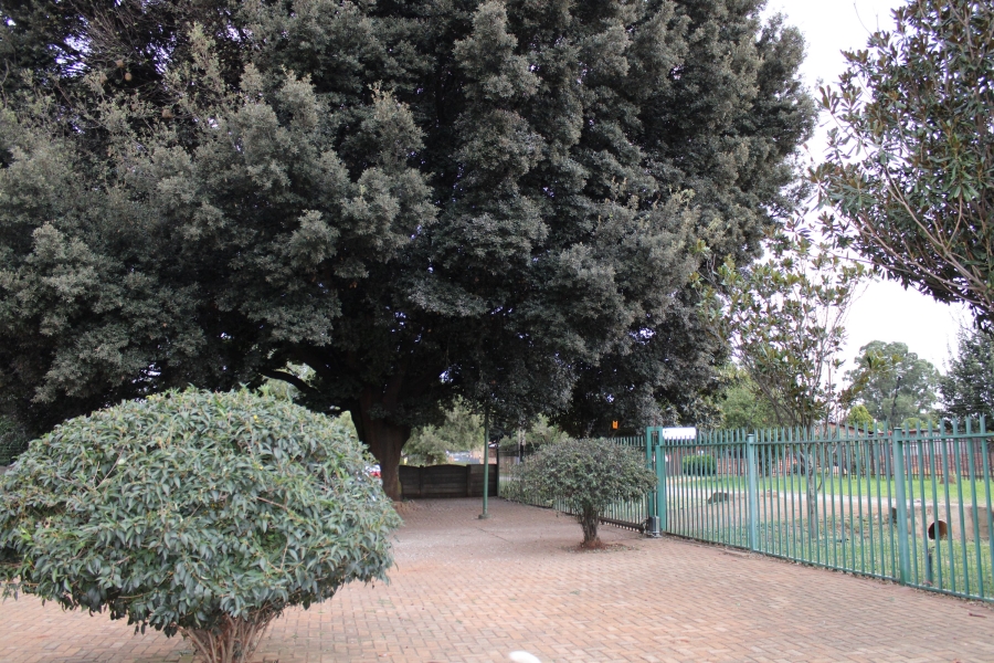 4 Bedroom Property for Sale in Spaarwater Gauteng