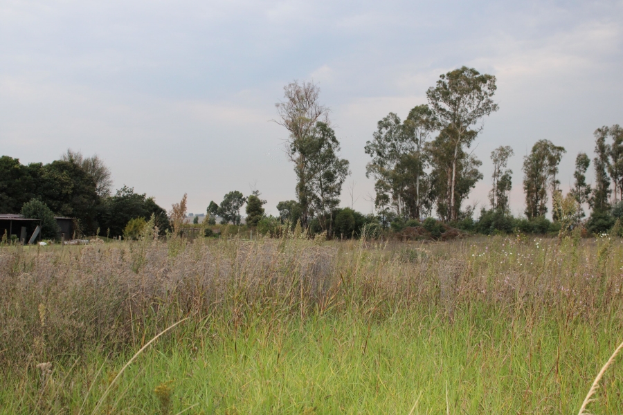 4 Bedroom Property for Sale in Spaarwater Gauteng