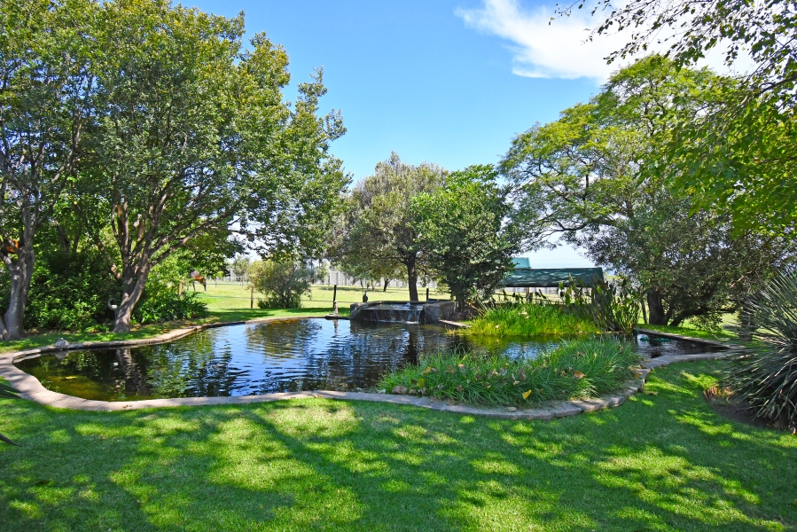 4 Bedroom Property for Sale in Sun Valley Gauteng