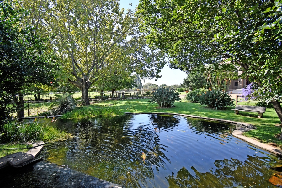 4 Bedroom Property for Sale in Sun Valley Gauteng