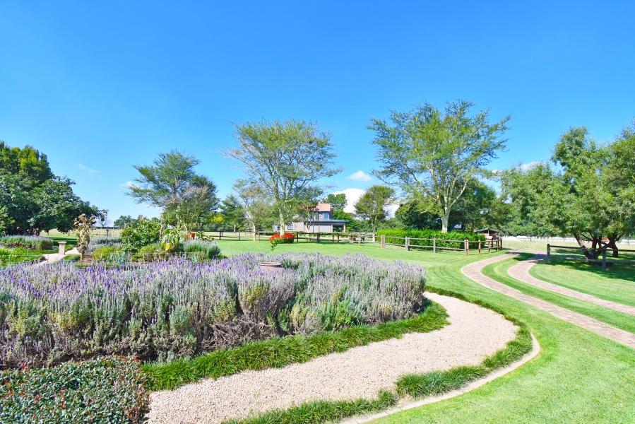 4 Bedroom Property for Sale in Sun Valley Gauteng
