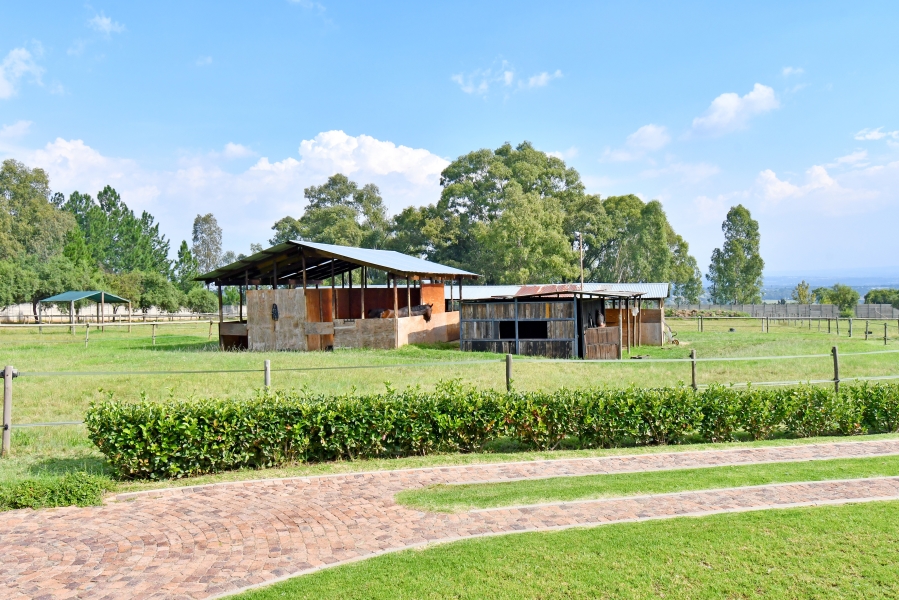 4 Bedroom Property for Sale in Sun Valley Gauteng