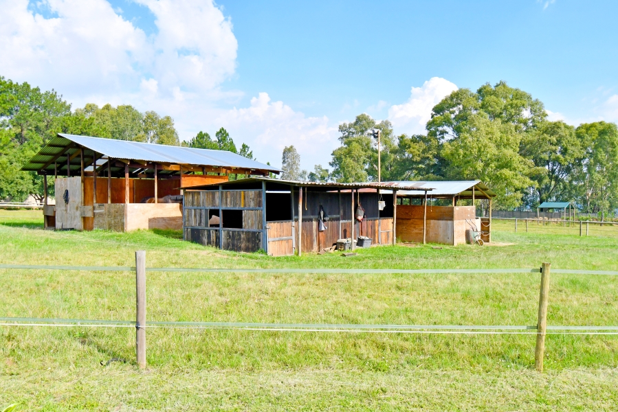 4 Bedroom Property for Sale in Sun Valley Gauteng