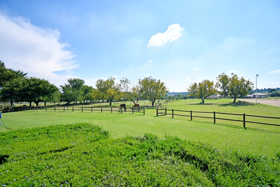 4 Bedroom Property for Sale in Sun Valley Gauteng