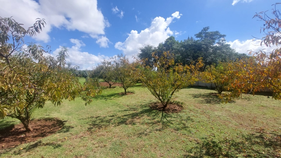 3 Bedroom Property for Sale in Loumarina A H Gauteng