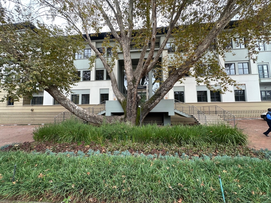 To Let Commercial Property for Rent in Sandton Central Gauteng