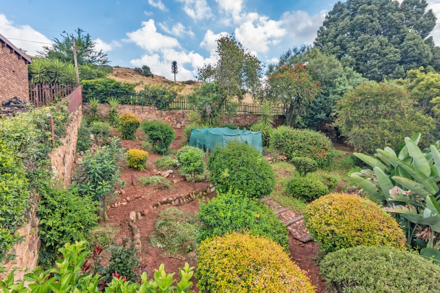 To Let 4 Bedroom Property for Rent in Wilro Park Gauteng