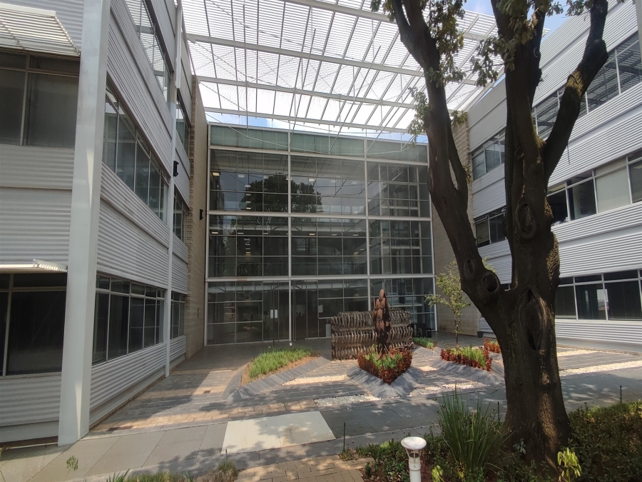 To Let Commercial Property for Rent in Illovo Gauteng