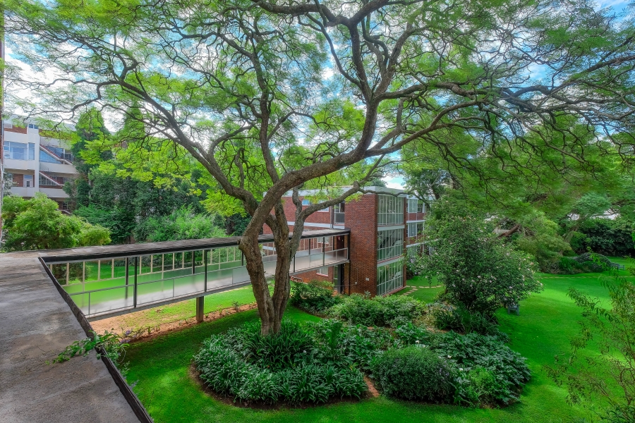 To Let 3 Bedroom Property for Rent in Illovo Gauteng