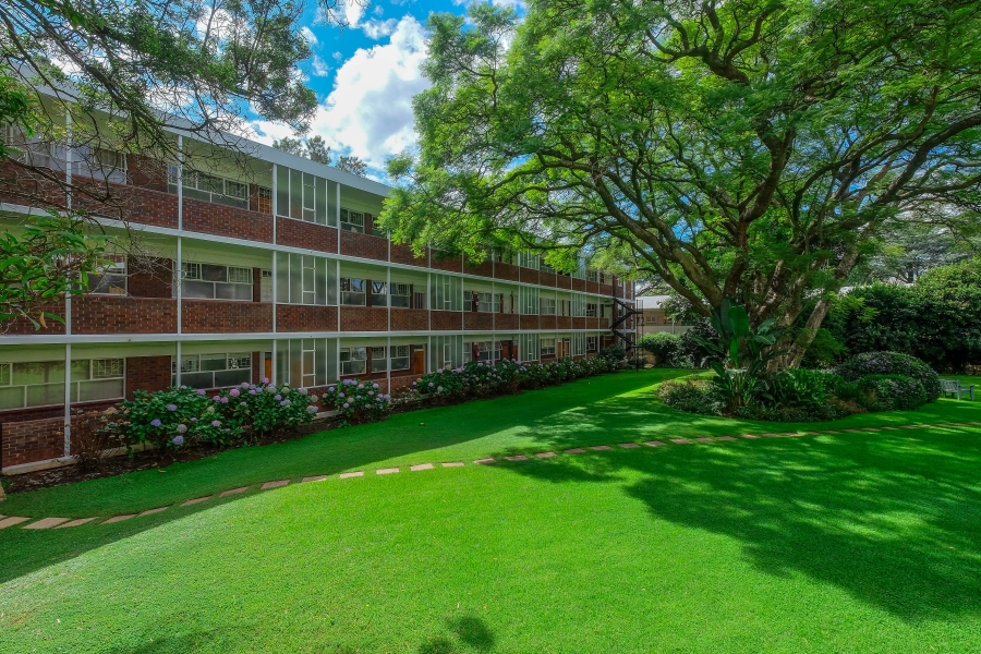 To Let 3 Bedroom Property for Rent in Illovo Gauteng