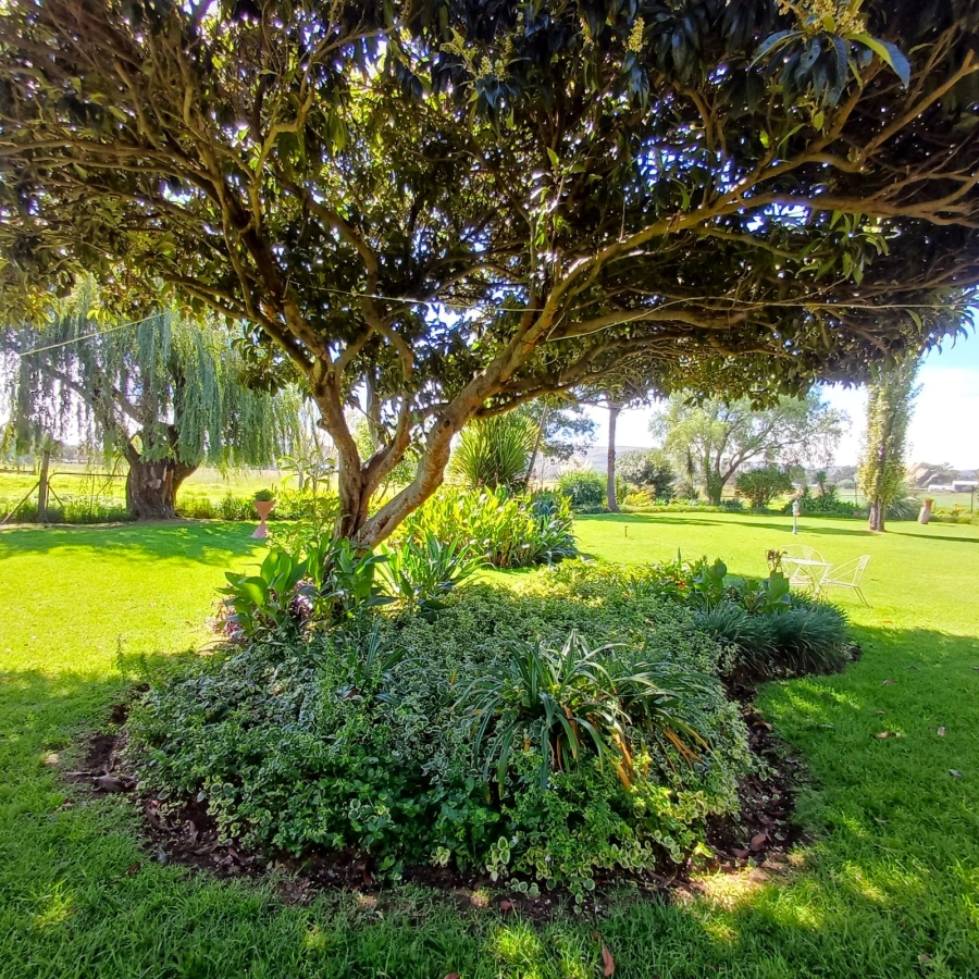 4 Bedroom Property for Sale in Schoongezicht Gauteng