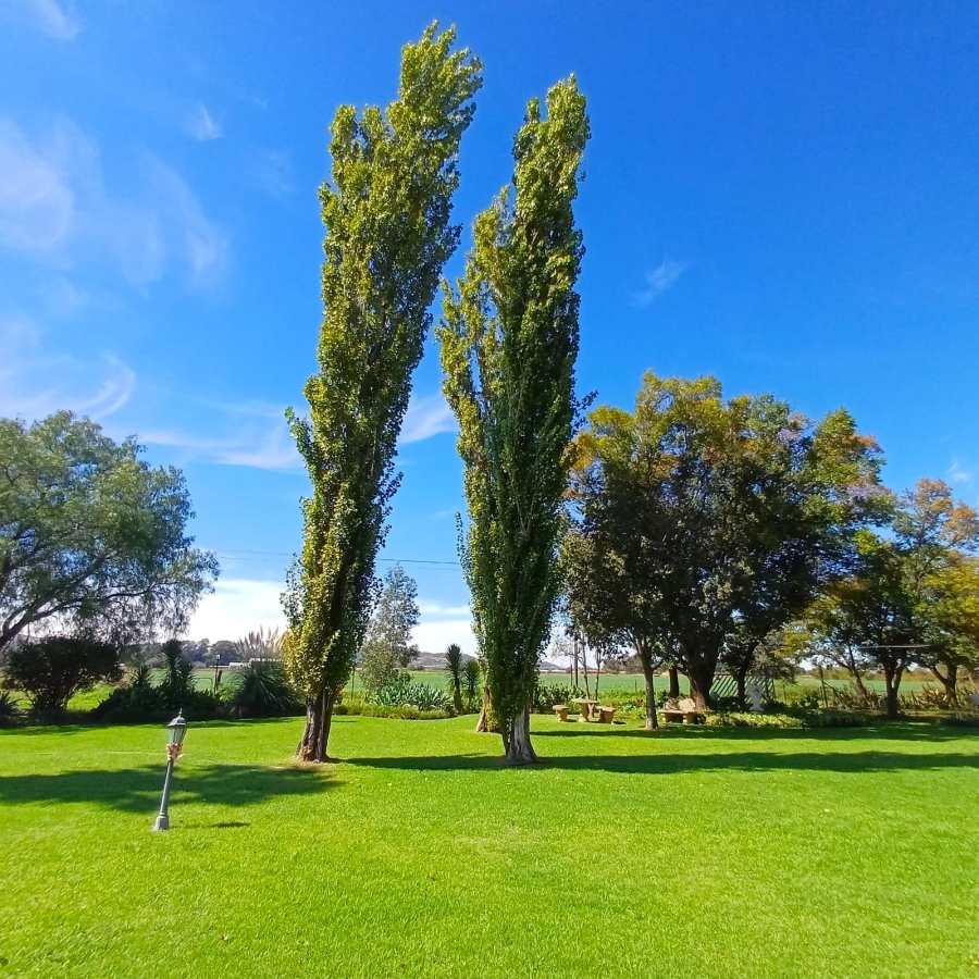 4 Bedroom Property for Sale in Schoongezicht Gauteng