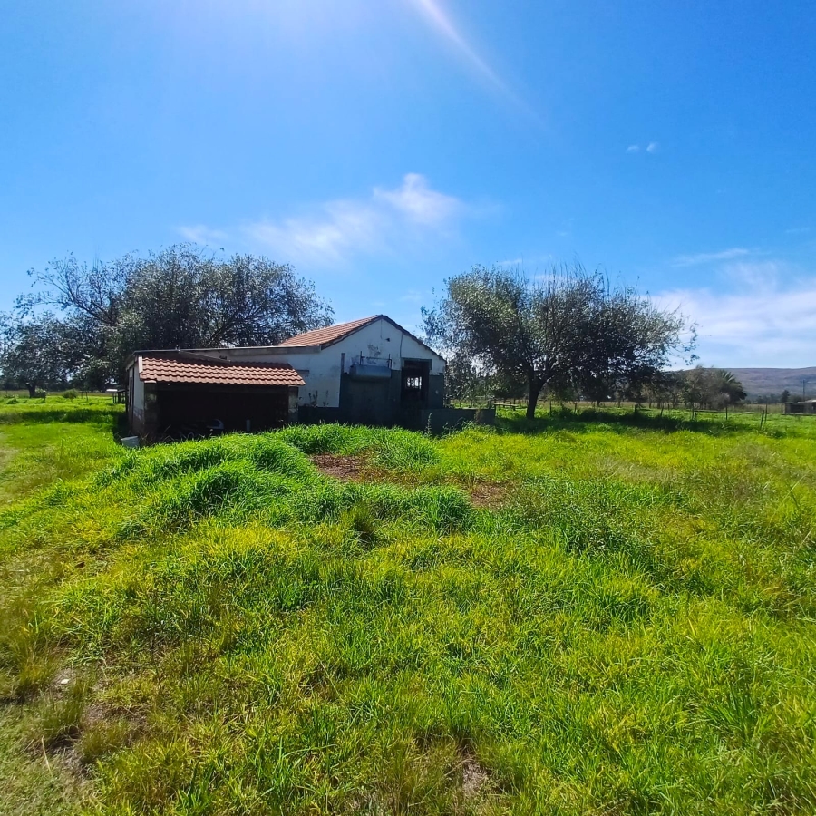 4 Bedroom Property for Sale in Schoongezicht Gauteng