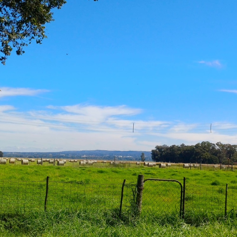 4 Bedroom Property for Sale in Schoongezicht Gauteng
