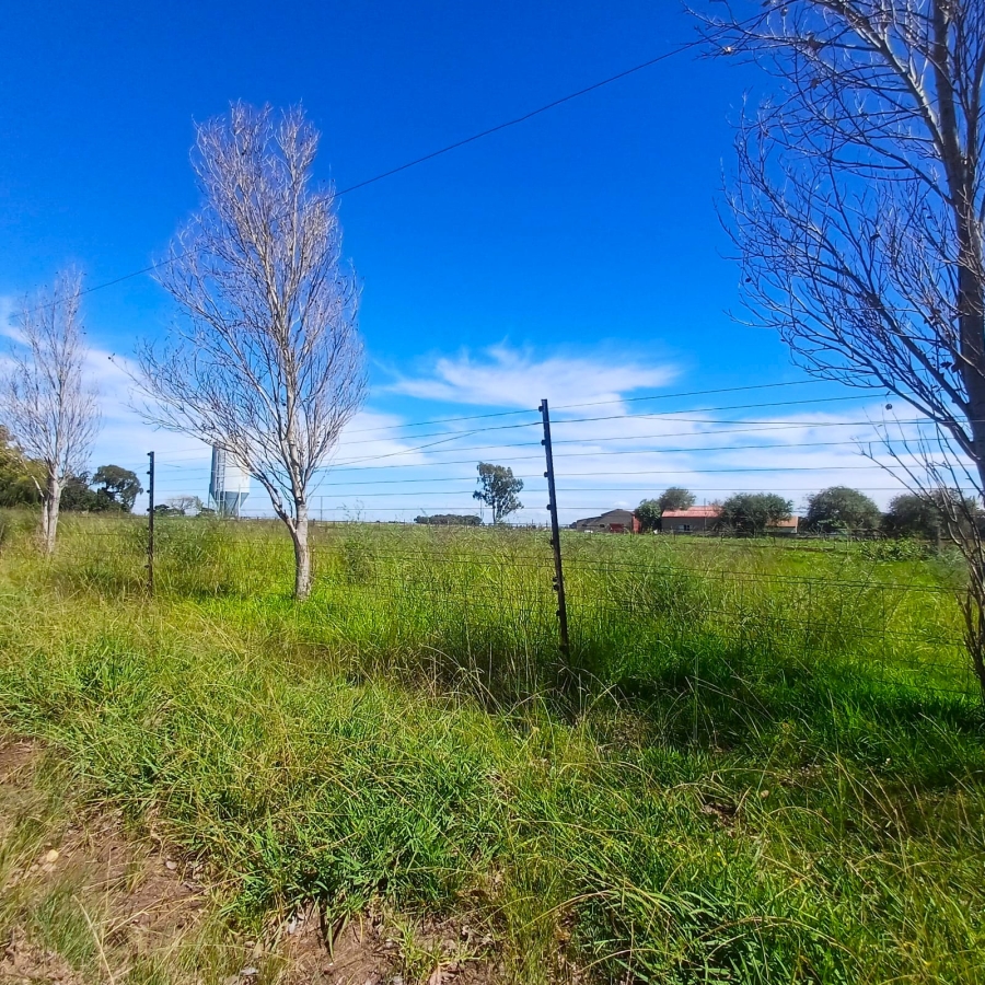 4 Bedroom Property for Sale in Schoongezicht Gauteng