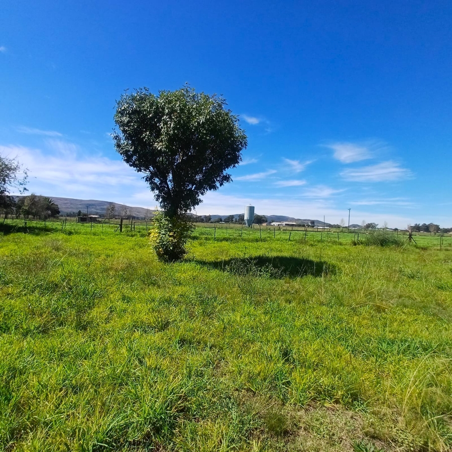 4 Bedroom Property for Sale in Schoongezicht Gauteng