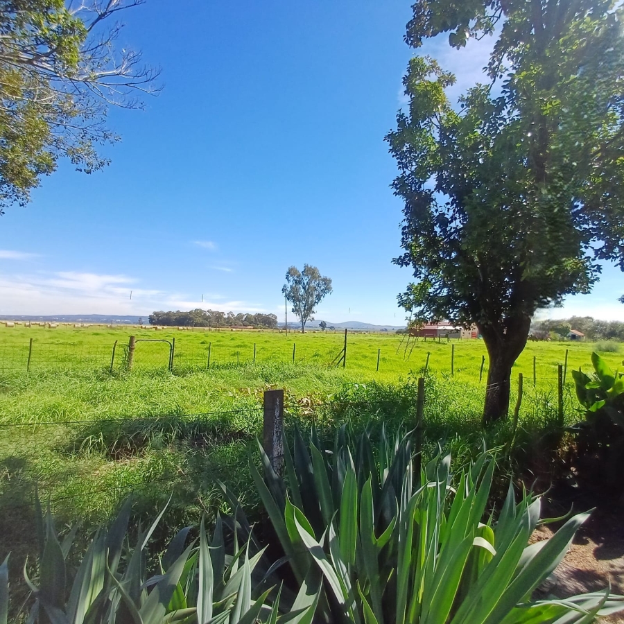 4 Bedroom Property for Sale in Schoongezicht Gauteng