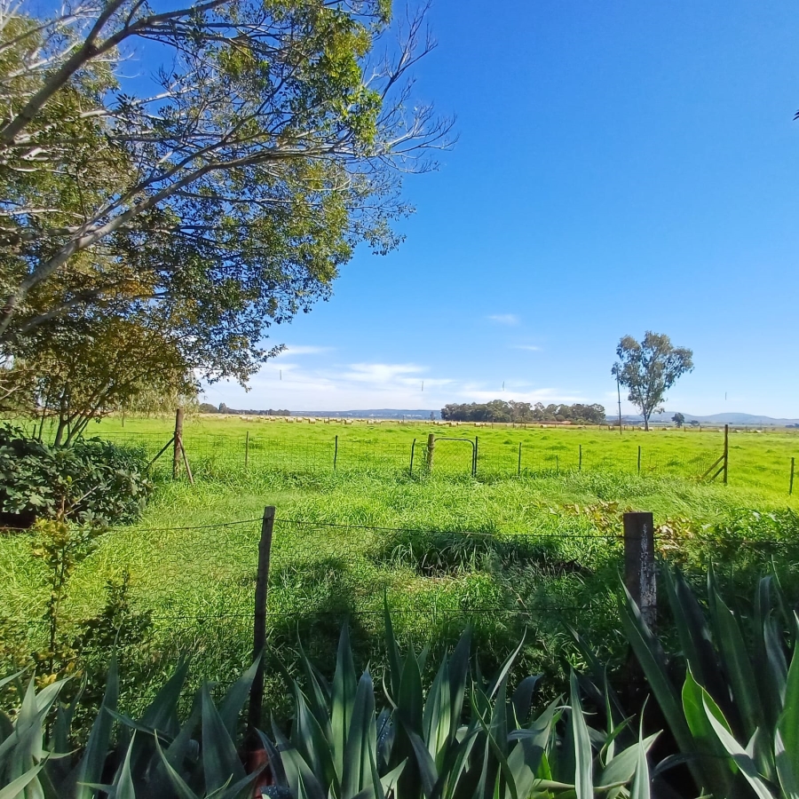 4 Bedroom Property for Sale in Schoongezicht Gauteng