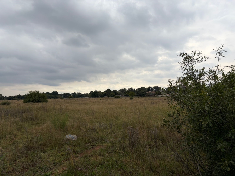0 Bedroom Property for Sale in Henley on Klip Gauteng