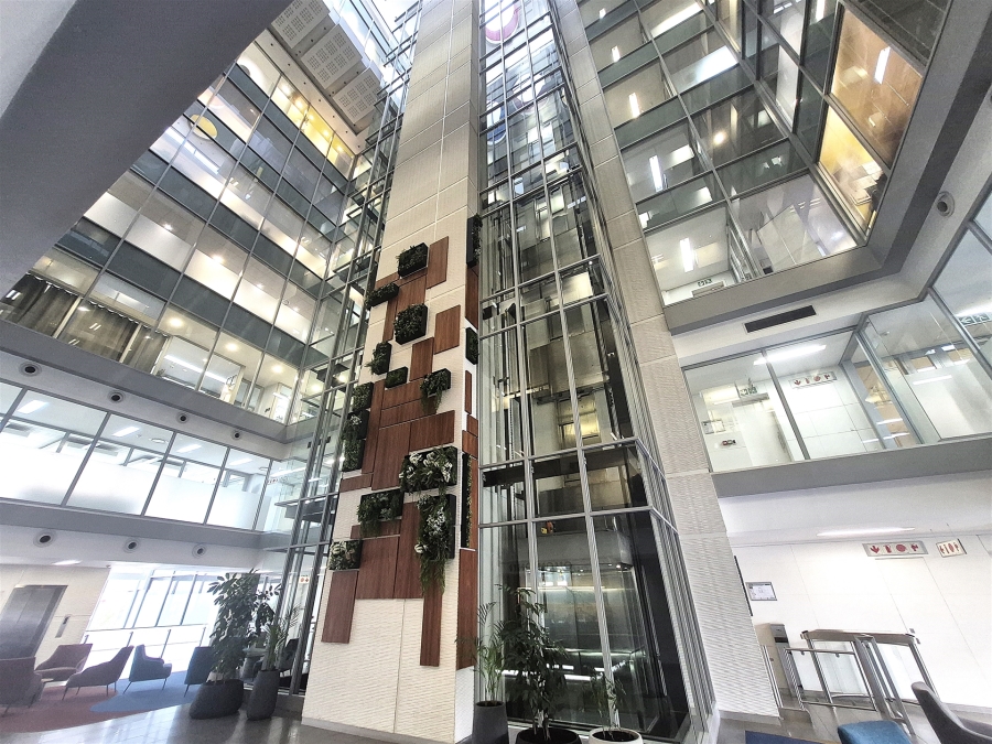 To Let Commercial Property for Rent in Rosebank Gauteng