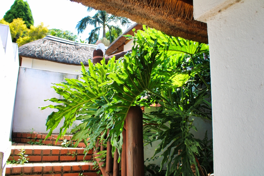 6 Bedroom Property for Sale in Waverley Gauteng