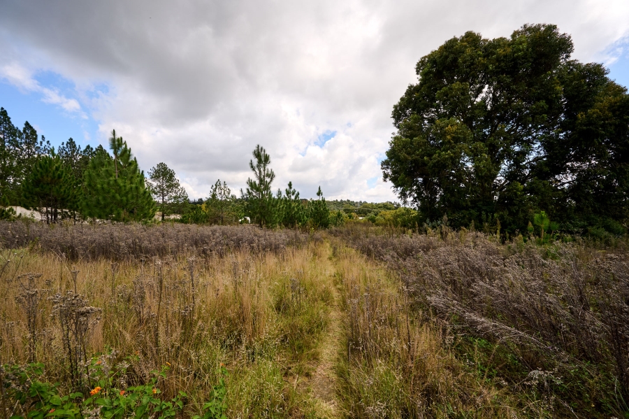 0 Bedroom Property for Sale in Crowthorne AH Gauteng