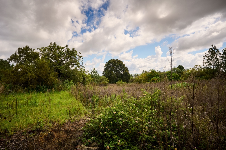 0 Bedroom Property for Sale in Crowthorne AH Gauteng