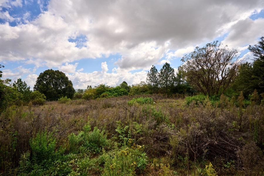 0 Bedroom Property for Sale in Crowthorne AH Gauteng