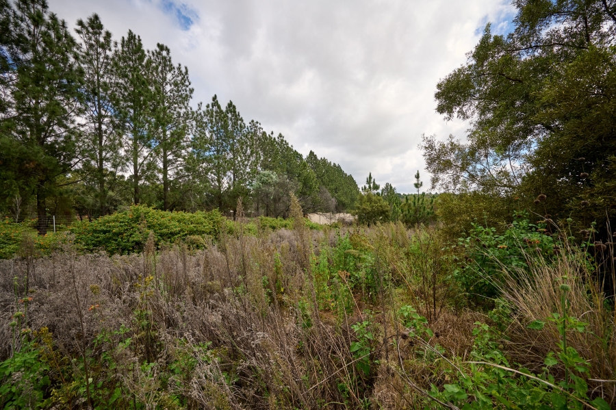 0 Bedroom Property for Sale in Crowthorne AH Gauteng